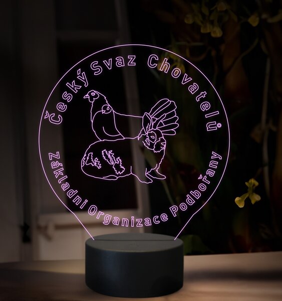 Beling, 3D lampa s fotkou, 16 farebná, VF07