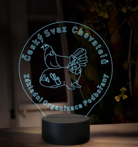 Beling, 3D lampa s fotkou, 16 farebná, VF07