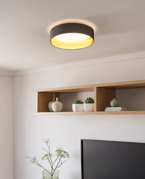 Eglo 99542 - LED Stropné svietidlo MASERLO LED/24W/230V