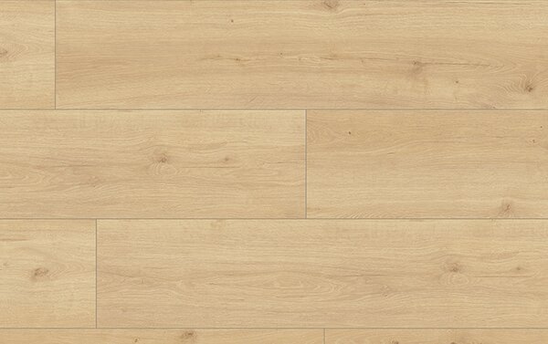 Classen Melody Aqua Protect 4V 65348 DUB ALICANTE