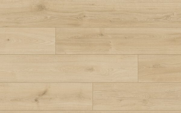 Classen Tradition Aqua Protect 4V 65120 DUB PISTOIA