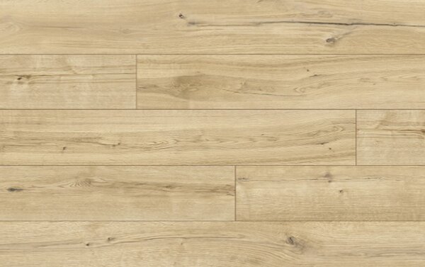 Classen Casa Energy Aqua Protect 4V 54041 CABRILLO DUB RUSTIC