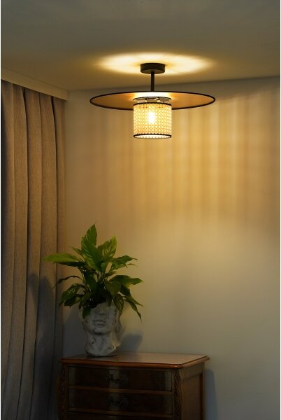 Duolla - Prisadený luster TOKYO RATTAN 1xE27/15W/230V pr. 50 cm zlatá/ratan