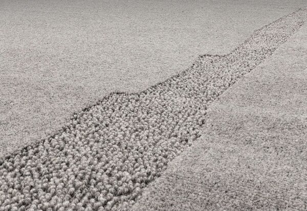 Sivý vlnený koberec 200x300 cm Morphic Rocca – Agnella