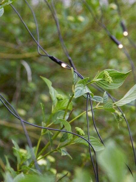 Markslöjd 108178-LED Vonkajší vianočný záves GARDEN24 160xLED/24V 2x2m teplá biela