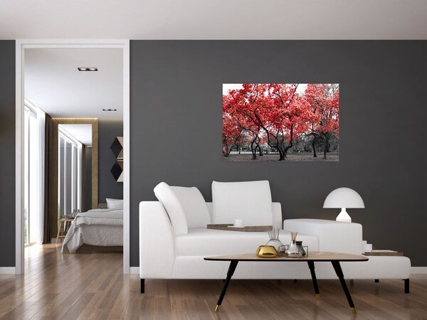 Obraz - Červené stromy, Central Park, New York (90x60 cm)