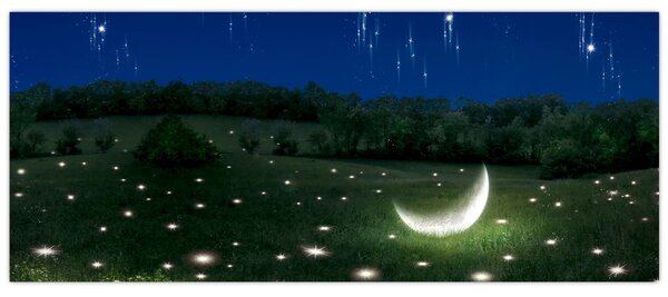 Obraz - Padajúce nebo (120x50 cm)