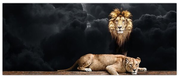 Obraz - Lev a levice v oblakoch (120x50 cm)