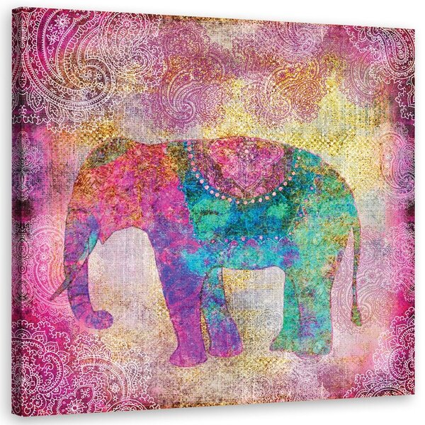 Obraz na plátne Slon indický - Andrea Haase Rozmery: 30 x 30 cm