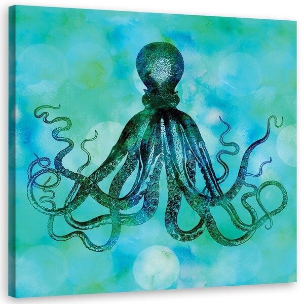 Obraz na plátne Zelená a modrá chobotnica - Andrea Haase Rozmery: 30 x 30 cm