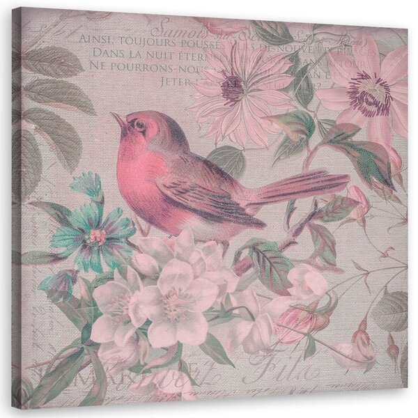 Obraz Malý vták v ružových kvetoch - Andrea Haase Veľkosť: 40 x 40 cm, Prevedenie: Obraz na plátne