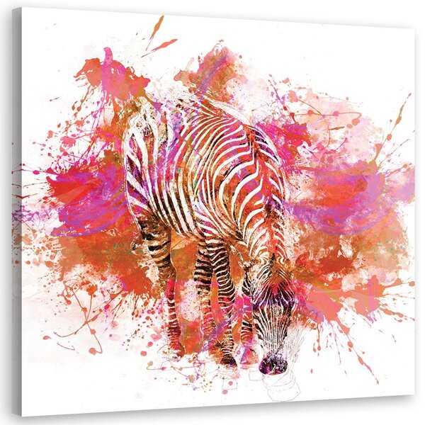 Obraz Farebne maľovaná zebra - Andrea Haase Veľkosť: 30 x 30 cm, Prevedenie: Obraz na plátne