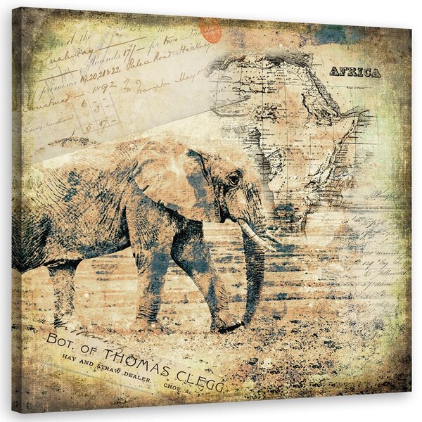 Obraz Slon a stará mapa Afriky - Andrea Haase Veľkosť: 30 x 30 cm, Prevedenie: Obraz na plátne