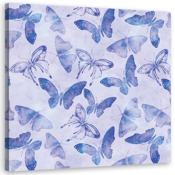 Obraz na plátne Modré motýle - Andrea Haase Rozmery: 30 x 30 cm
