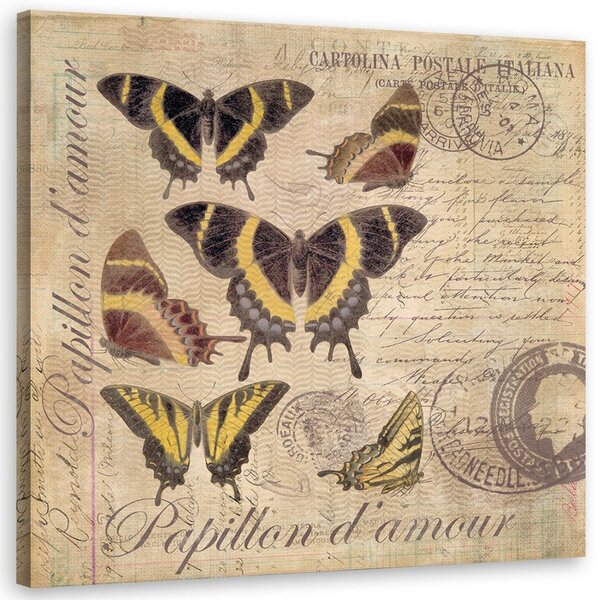 Obraz Motýle na béžovom pozadí - Andrea Haase Veľkosť: 40 x 40 cm, Prevedenie: Obraz na plátne