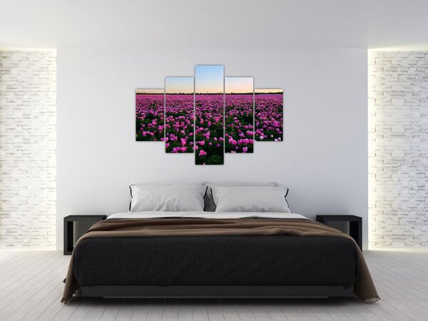 Obraz - Lúka fialových tulipánov (150x105 cm)