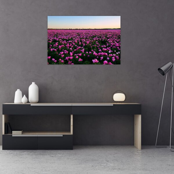 Obraz - Lúka fialových tulipánov (90x60 cm)