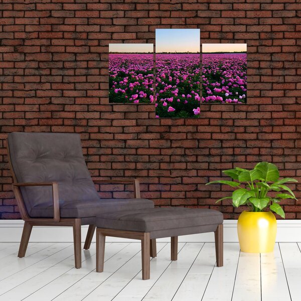 Obraz - Lúka fialových tulipánov (90x60 cm)