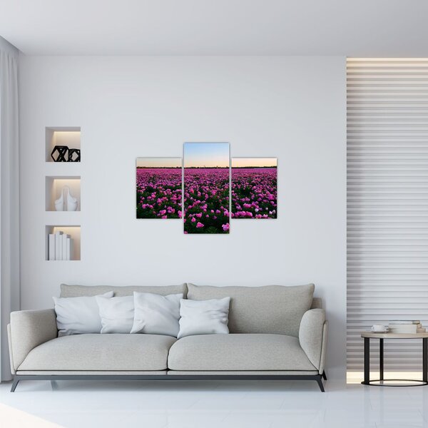 Obraz - Lúka fialových tulipánov (90x60 cm)