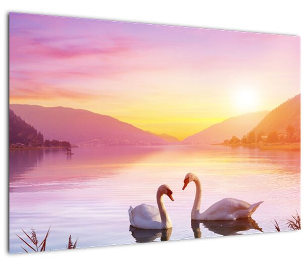 Obraz zamilovaných labutí (90x60 cm)