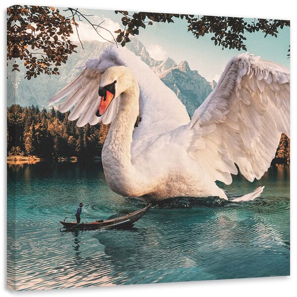 Obraz Veľká labuť - Zehem Chong Veľkosť: 30 x 30 cm, Prevedenie: Obraz na plátne