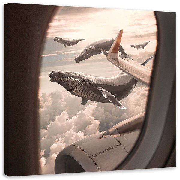 Obraz Pohľad na veľryby z lietadla - Zehem Chong Veľkosť: 30 x 30 cm, Prevedenie: Obraz na plátne