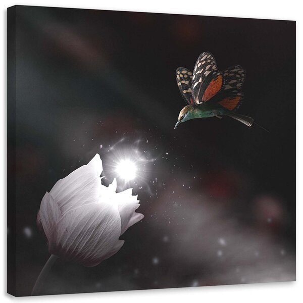 Obraz Kolibrík a čarovný kvet - Zehem Chong Veľkosť: 30 x 30 cm, Prevedenie: Obraz na plátne