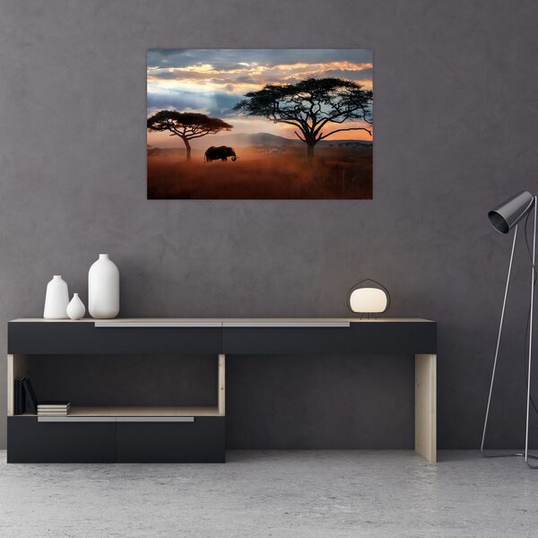 Obraz - Národný park Serengeti, Tanzánia, Afrika (90x60 cm)