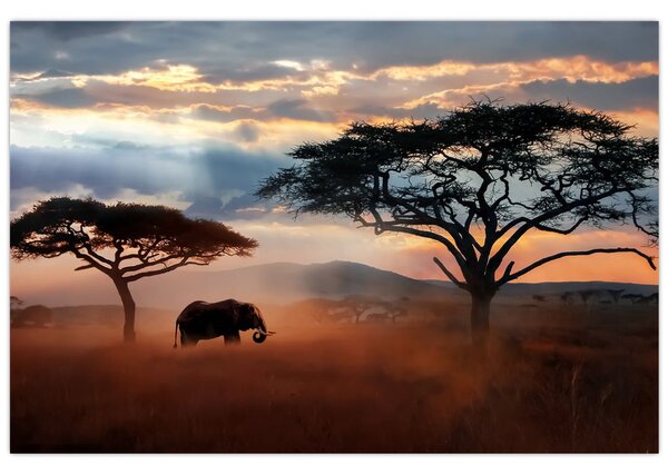 Obraz - Národný park Serengeti, Tanzánia, Afrika (90x60 cm)
