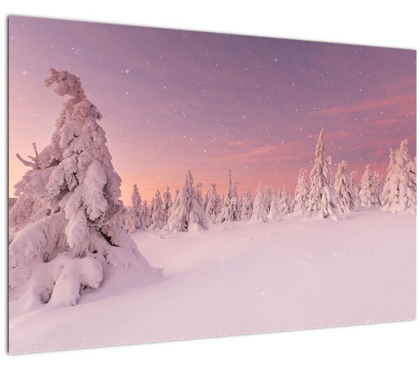 Obraz - Stromy pod snehovou prikrývkou (90x60 cm)