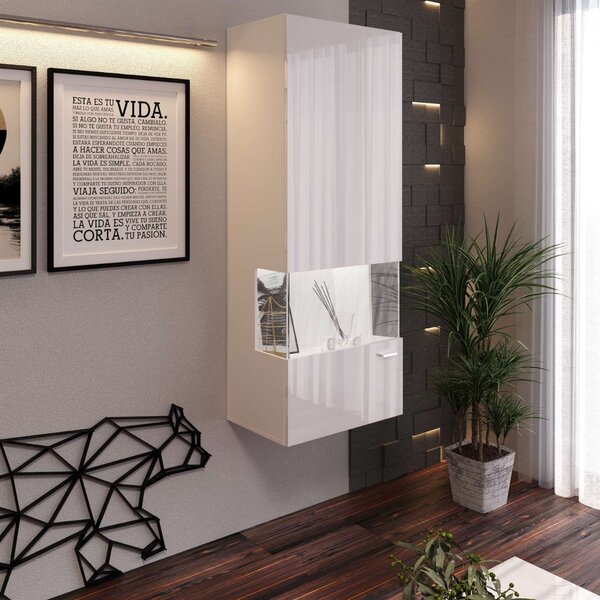 VITRÍNA ALEX BIELY LESK 50 x 130 cm