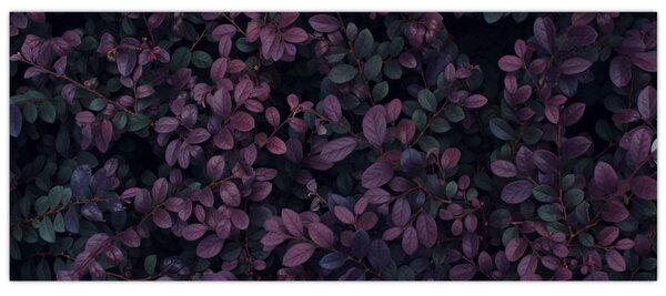 Obraz tmavočervených lístočkov (120x50 cm)