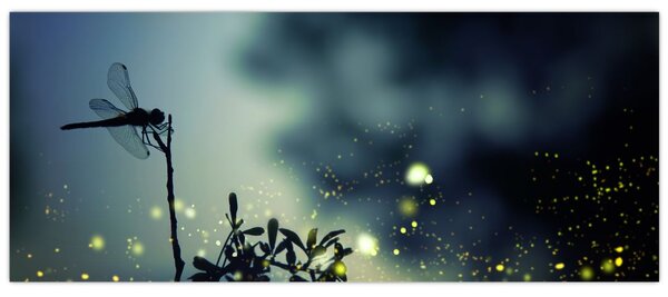 Obraz - Vážka za trblietavej noci (120x50 cm)