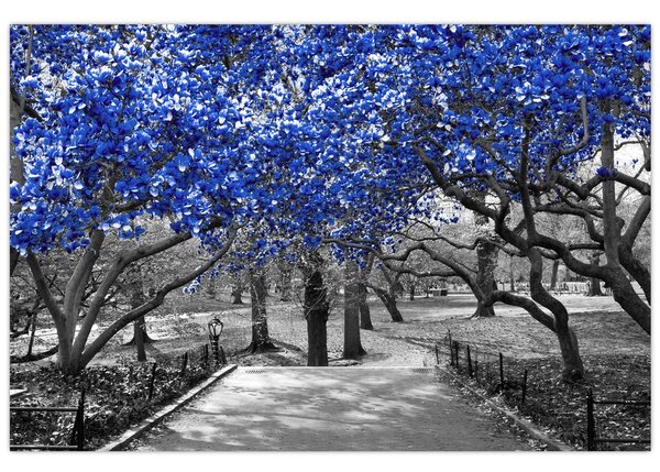 Obrázok - Modré stromy, Central Park, New York (90x60 cm)