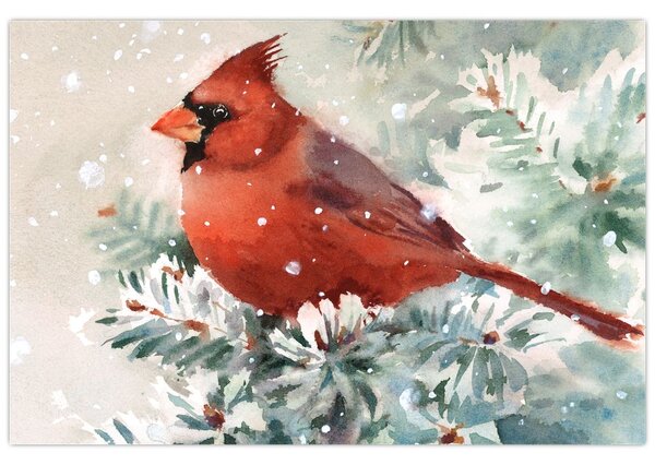 Obraz - Kardinál (90x60 cm)