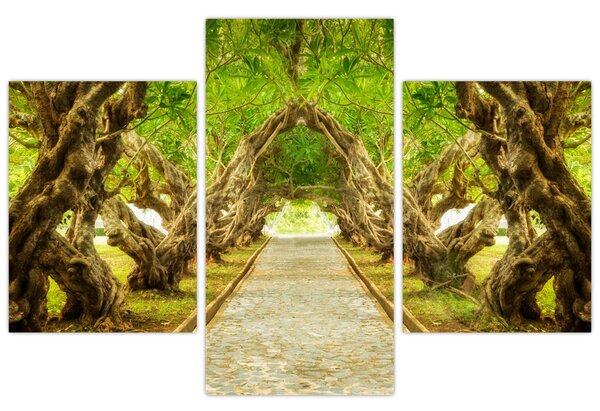 Obraz - Živý tunel z plumérií (90x60 cm)