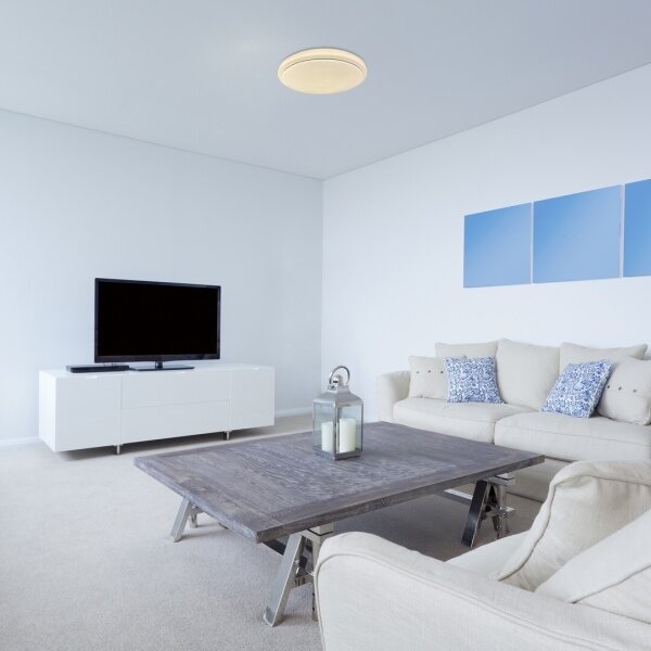Rabalux 71183 - LED Stropné svietidlo TREVOR LED/24W/230V 3000K pr. 38 cm