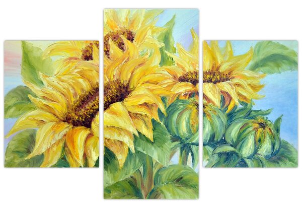 Obraz rozkvitnutých slnečníc (90x60 cm)