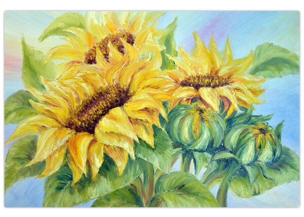 Obraz rozkvitnutých slnečníc (90x60 cm)