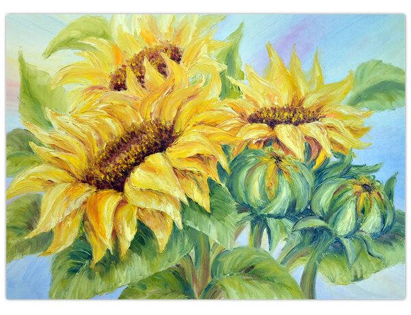 Obraz rozkvitnutých slnečníc (70x50 cm)