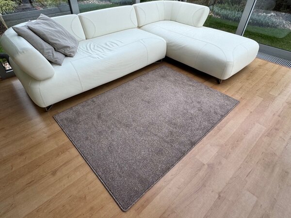 Vopi , Kusový koberec Apollo Soft hnedý, 60x110, hnedá, obývacia izba