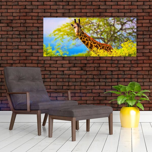 Obraz žirafy v Afrike (120x50 cm)