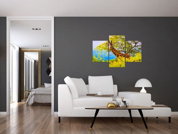 Obraz žirafy v Afrike (90x60 cm)