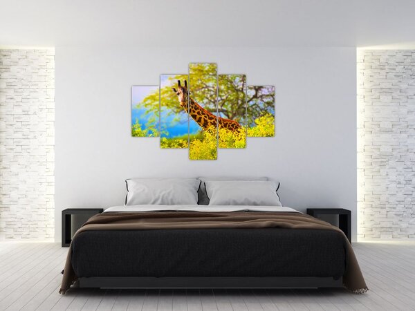 Obraz žirafy v Afrike (150x105 cm)