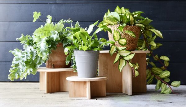 Bambusový stojan na kvety ø 25 cm – Esschert Design
