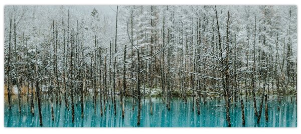 Obraz - Tyrkysový rybník, Biei, Japonsko (120x50 cm)