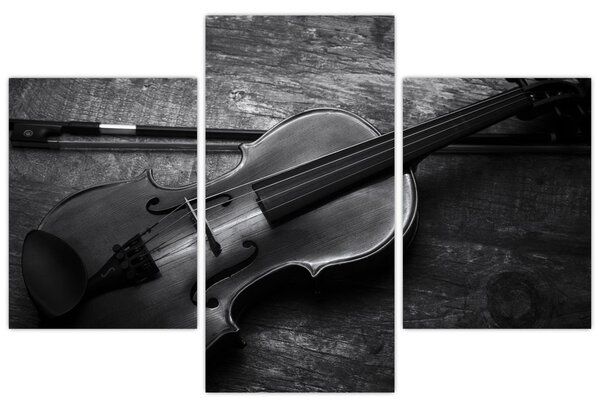 Obraz - Viola (90x60 cm)