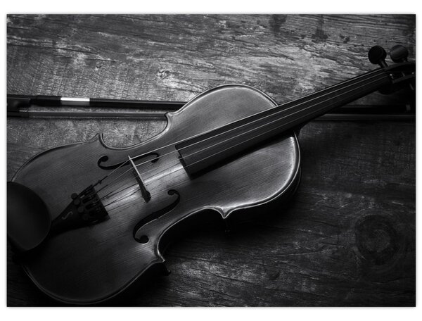 Obraz - Viola (70x50 cm)