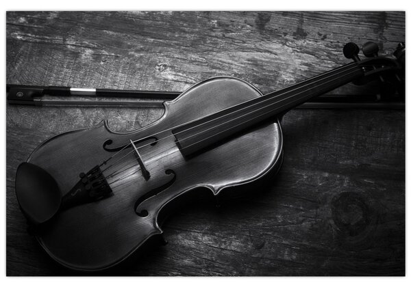Obraz - Viola (90x60 cm)