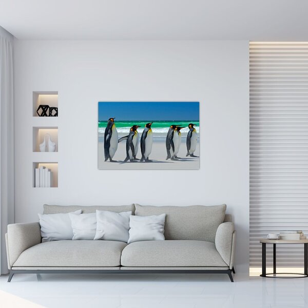 Obraz - Skupina kráľovských Tučniakov (90x60 cm)